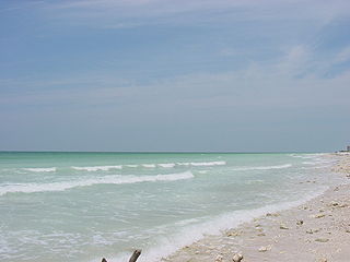 Honeymoon Island State Park State park in Florida, United States