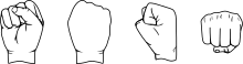Human fist from four different sides Human fist different sides.svg