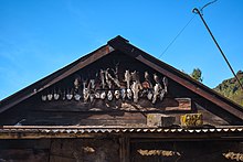 Hunted skulls at the entrance of a house in rural Nagaland
