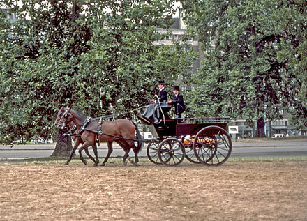 Brakes are regularly used for training and exercising the carriage horses, as seen here in Hyde Park.