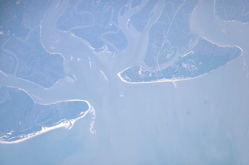 File:ISS012-E-14192 - View of The State of Georgia.jpg