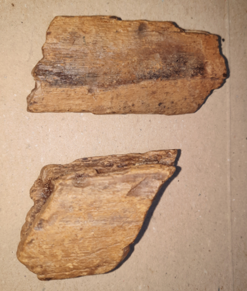 File:Ichthyosaur rib fragments.png