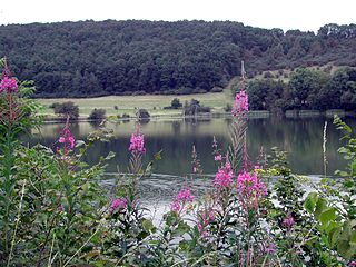 <span class="mw-page-title-main">Immerather Maar</span> Body of water