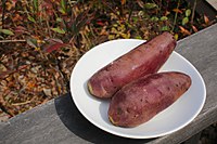 Sweet potato - Wikipedia