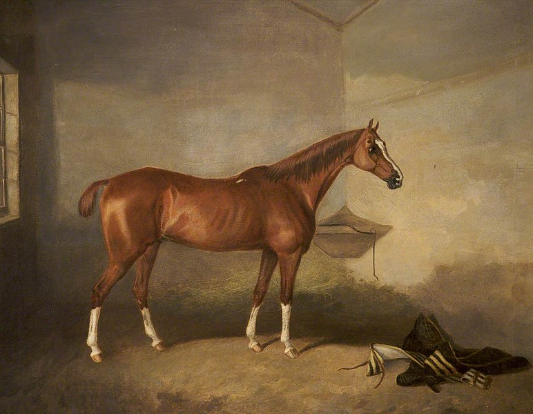 File:John Boultbee (1753-1812) - A Chestnut Horse in a Stable - 500008 - National Trust.jpg