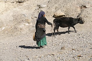 Jomsom, Rural life 2, Mustang, Nepal.jpg