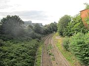 2 overgrown railway tracks snake to the right. To the left are brambles & to the right is grass, lavender & one solitary signal. In the distance are modern office towers.