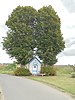 Kapelletje van Onze-Lieve-Vrouw met linden