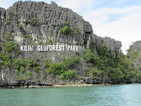 Fail:Kilim-geoforest-langkawi.jpg