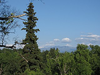 <span class="mw-page-title-main">Kincaid Park</span> Municipal park in Anchorage, Alaska