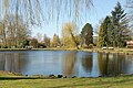 Little Millpond of Rosarium Kleiner Mühlenteich