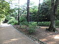 神戸市立森林植物園 (52)