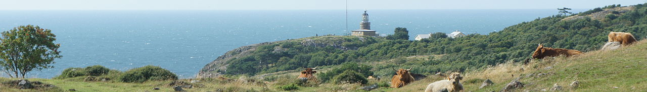 Kullaberg betesdjur banner.jpg