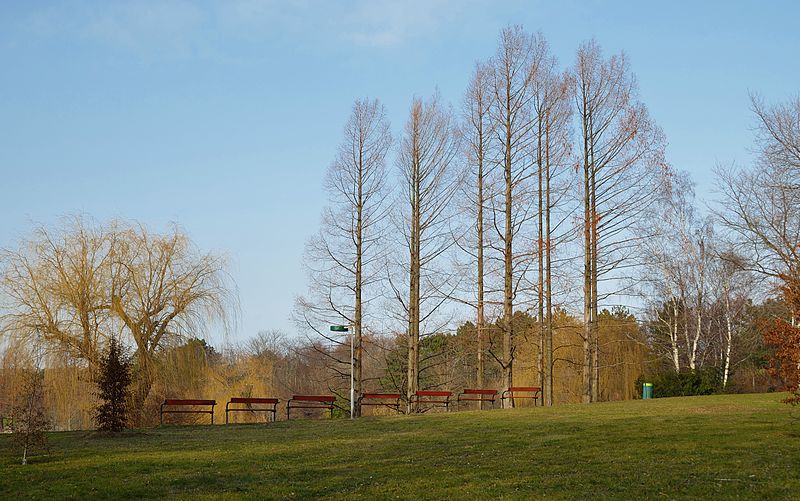 File:Kurpark Oberlaa 46 - seven benches.jpg