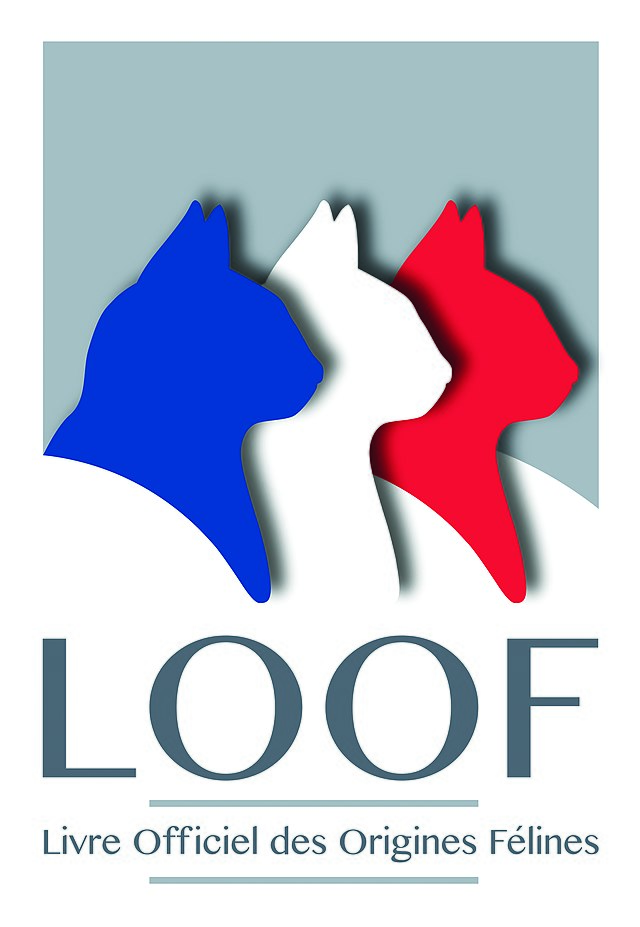 Logo de l’association