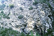 Col de Turini/Alpes Maritimes