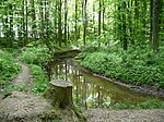 LSG OS 00025 Forest between Dielingdorf - Handarpe 20.jpg