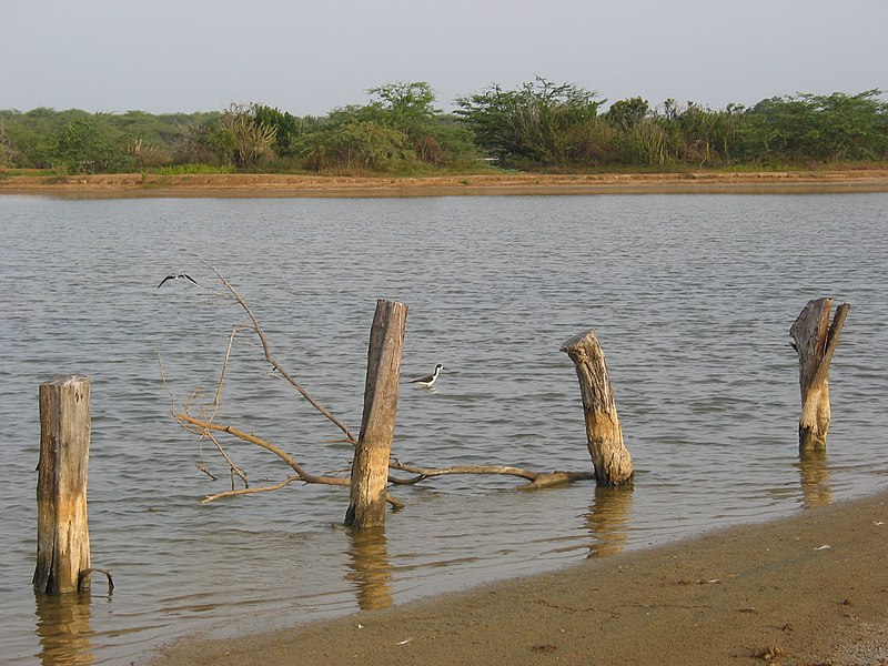 File:Laguna en Combate - panoramio.jpg