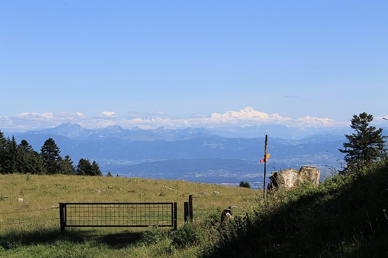 File:Les Fruitières de Nyon - panoramio (45).jpg