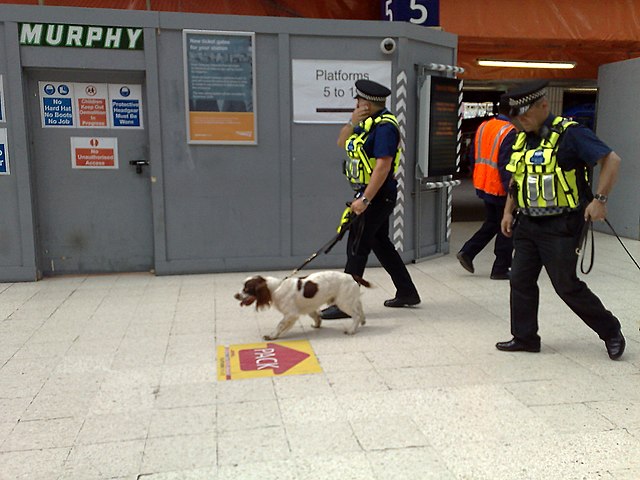 BTP officers patrolling with dogs at Waterloo station