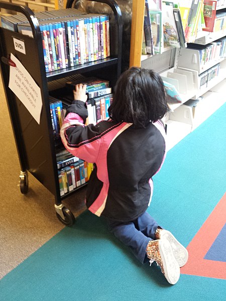 File:Looking for DVDs at Oshtemo Library (13879878424).jpg