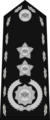 Teniente General Insignia.png