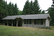 Forest school