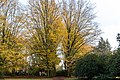 * Nomination Sentmaring park, Münster, North Rhine-Westphalia, Germany --XRay 05:03, 19 November 2017 (UTC) * Promotion Good quality. --Aeou 06:48, 19 November 2017 (UTC)