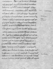 Codex Mediceus, Analoj de Tacito.