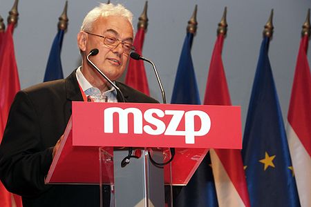 MSZP Congress July 2014-13.JPG