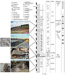 Mangrullo Formasyonu stratigrafik column.jpg