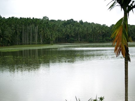 Manjeri