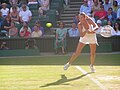 Wimbledon Championships