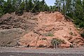 Large clasts within eolian sandstone