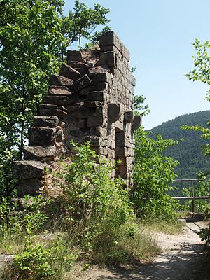 Vestiges du mur du palais du château supérieur