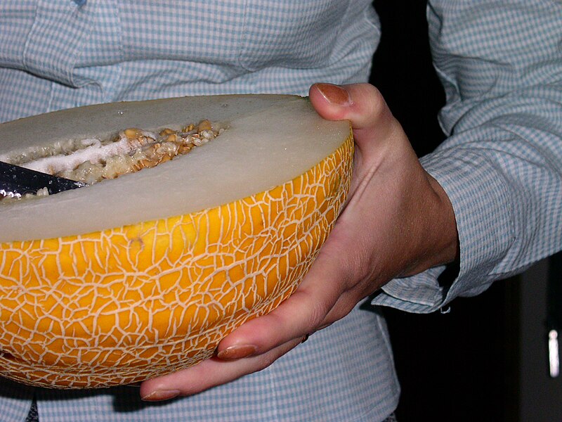 File:Melon in the hand of a woman (2004-09-19).jpg