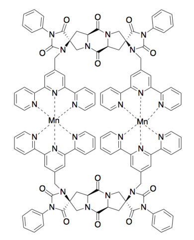A spiroligomer that binds manganese and zinc