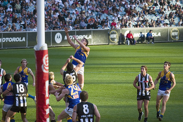 Michael Gardiner contests a boundary throw-in against Collingwood during the 2005 season.