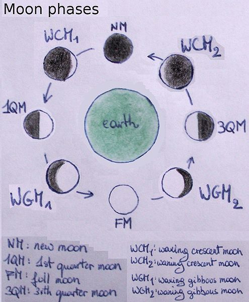 File:Moon phases.jpg