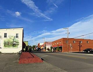 <span class="mw-page-title-main">Mountain City, Tennessee</span> Town in Tennessee, United States