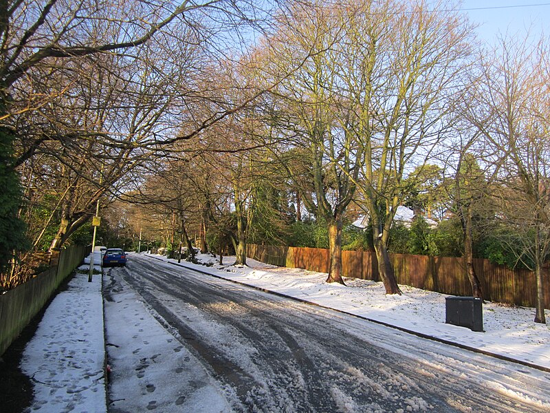 File:Mountwood Road, Prenton.JPG