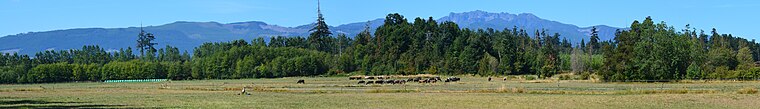 Arrowsmith Coombs Country