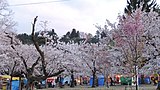 村松公園（新潟県五泉市）