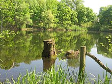 Murellenteich pond near the Ruhleben housing estate Murellenteich 1 Berlin.JPG