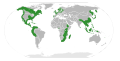 Range of the family Myricaceae