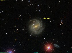 NGC 2642 SDSS.jpg