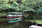 Una barcaza llena de gente del paseo en jungla en la zona de Frontierland.