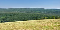 English: Nature reserve Torfowisko pod Zieleńcem, Lower Silesian Voivodeship