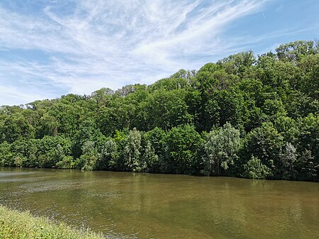 Naturschutzgebiet Oeffinger Scillawald Fellbach