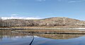 Nautilus Pond in March with mallard ducks.jpg